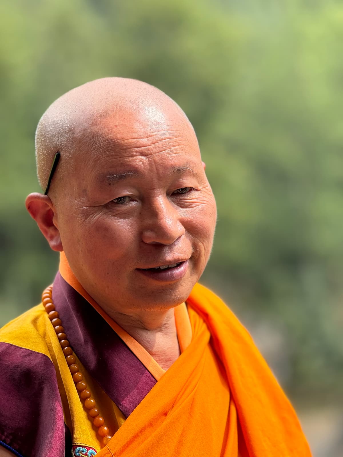 His Eminence Trizin Tsering Rinpoche